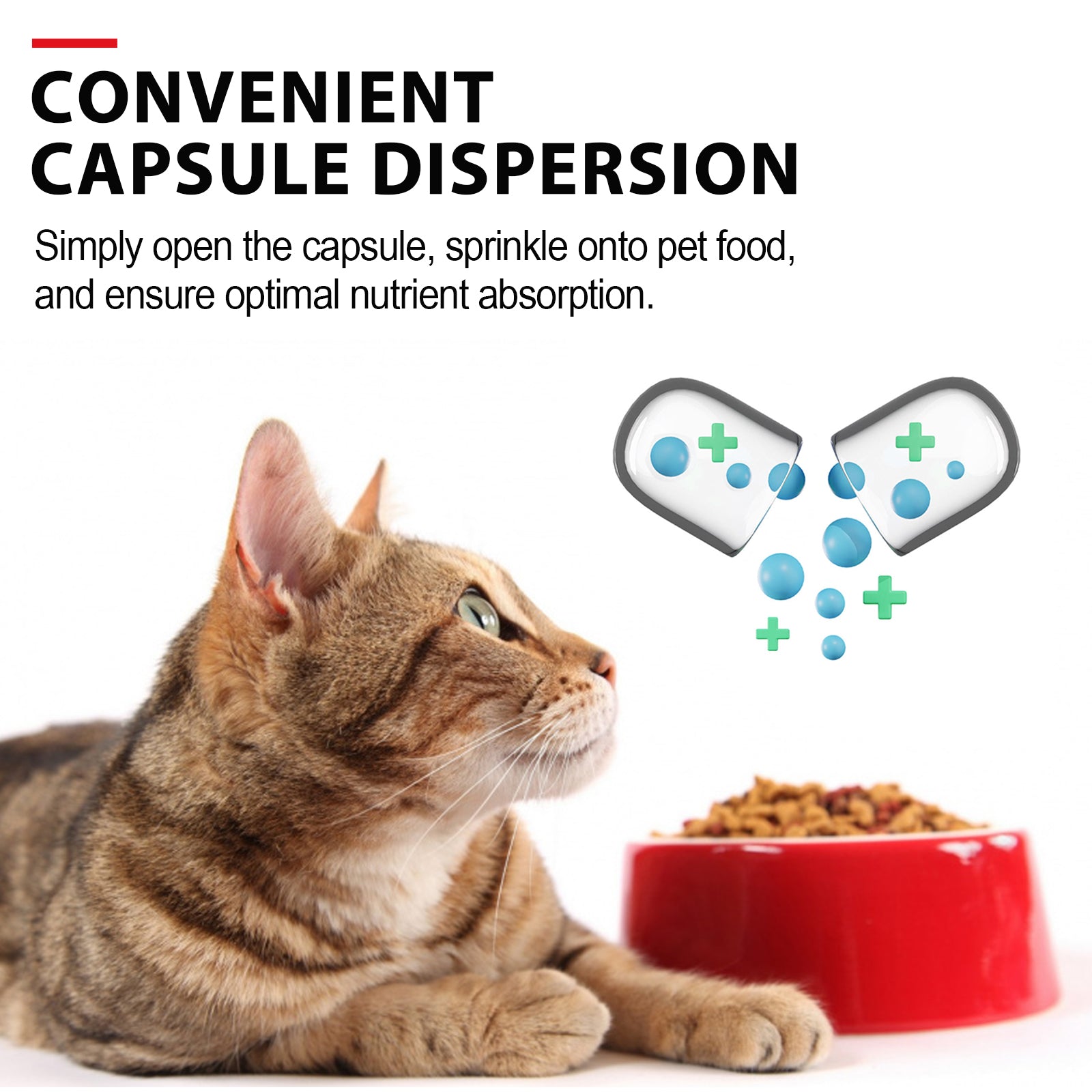 Liver Support Supplement for Dogs