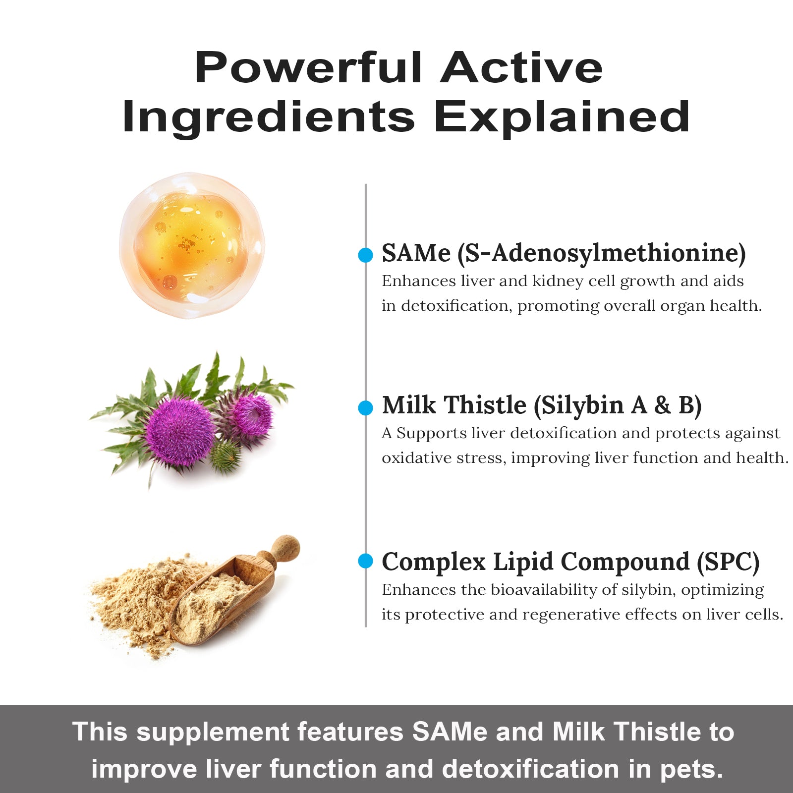 Liver Support Supplement for Dogs