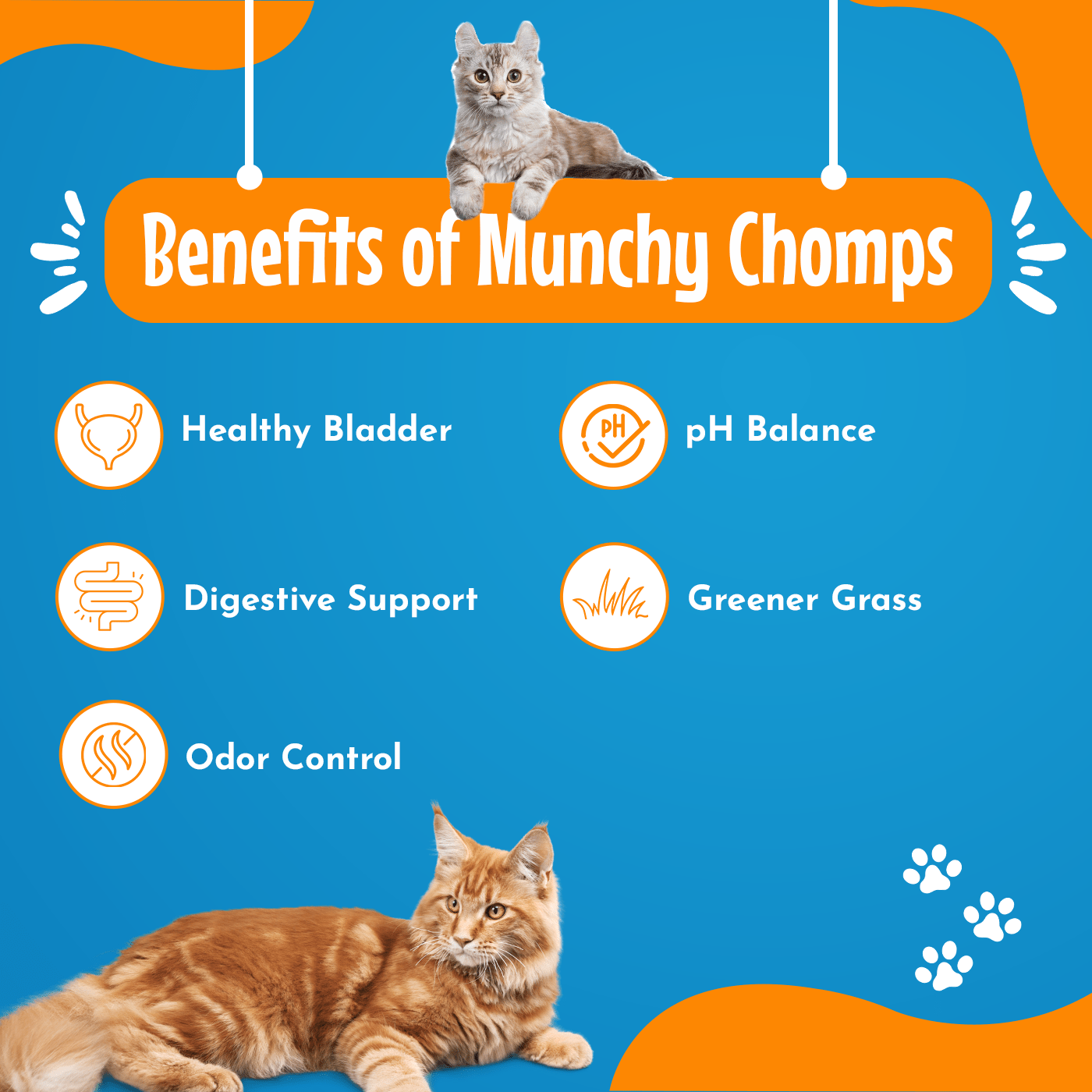 Lawn Guard Munch