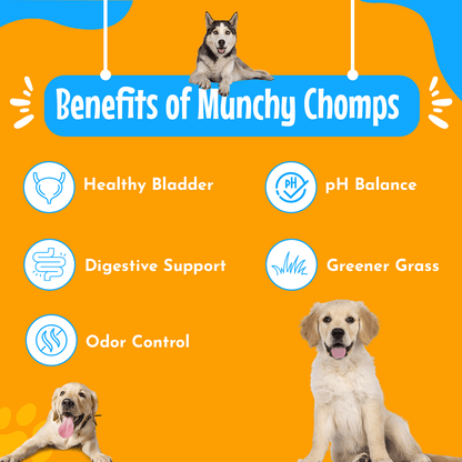 Lawn Guard Munch