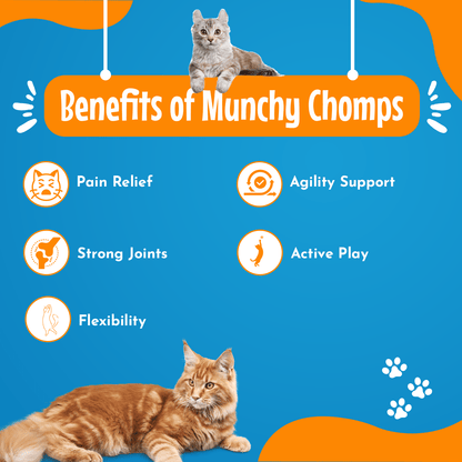 Mobility Munch