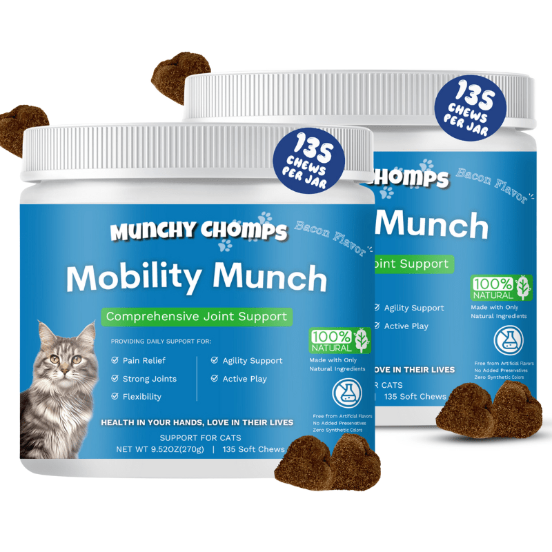 Mobility Munch