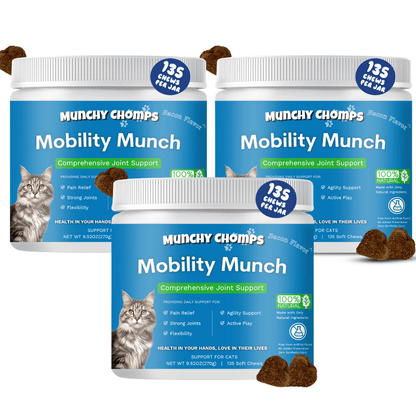 Mobility Munch