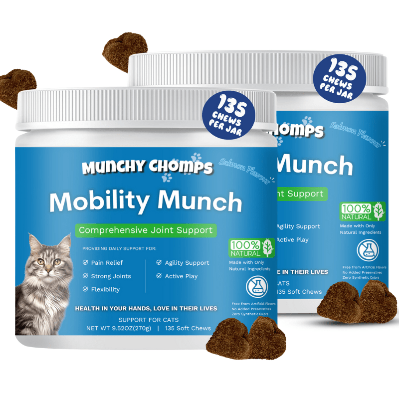 Mobility Munch