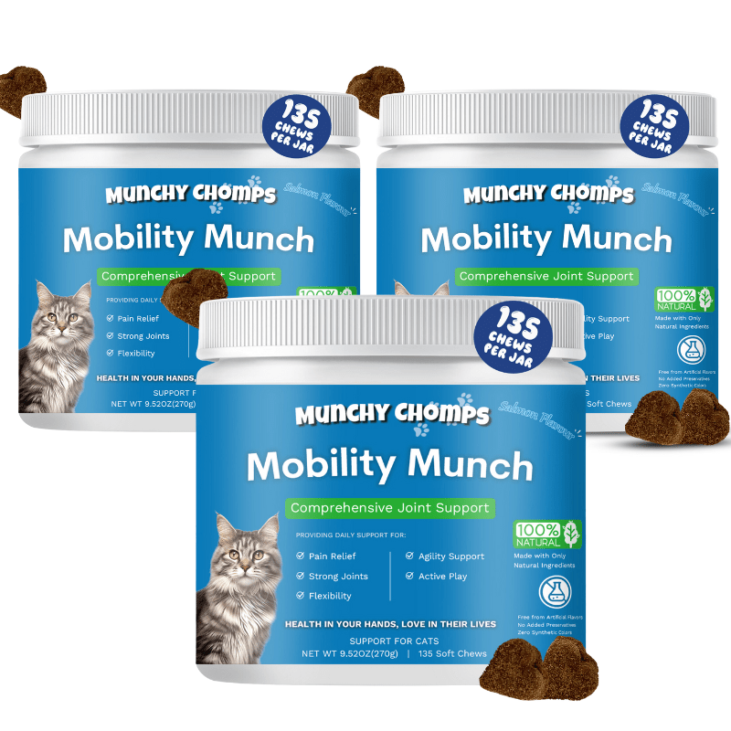 Mobility Munch