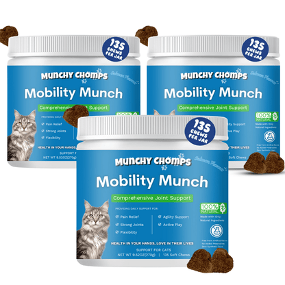 Mobility Munch