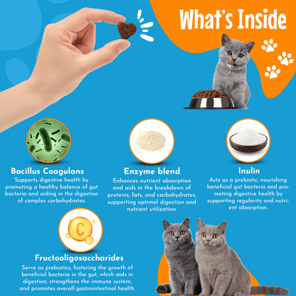 Probiotic 8 Strains Chews