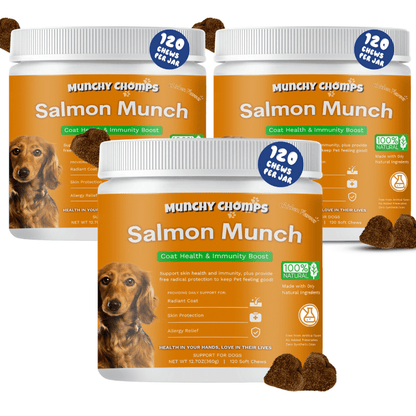 Salmon Munch